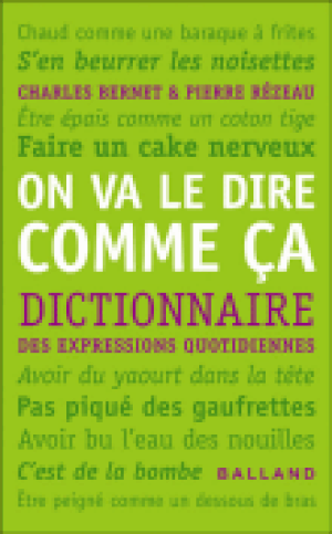 On va le dire comme ça : dictionnaire des expressions quotidiennes