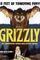 Affiche Grizzli, le monstre de la forêt