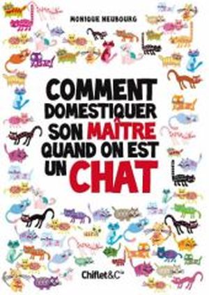 Comment domestiquer son maître quand on est un chat