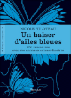Un baiser d'ailes bleues