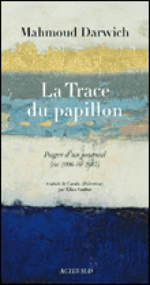 La trace du papillon