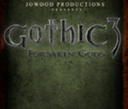 image-https://media.senscritique.com/media/000000149311/0/gothic_3_forsaken_gods.jpg