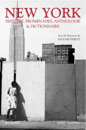 New York : Histoires, promenades, anthropologie et dictionnaire