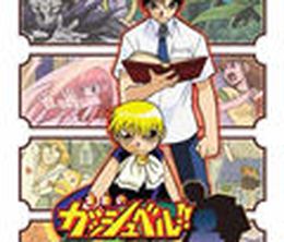 image-https://media.senscritique.com/media/000000149932/0/zatch_bell_mamodo_battles.jpg