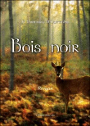 Bois noir