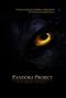 Pandora Project