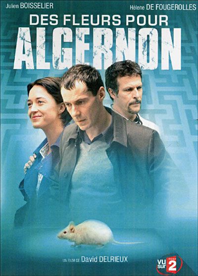  Des fleurs pour Algernon  T l film 2006 SensCritique