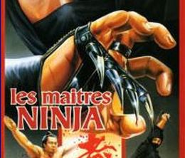 image-https://media.senscritique.com/media/000000163217/0/les_maitres_ninjas.jpg