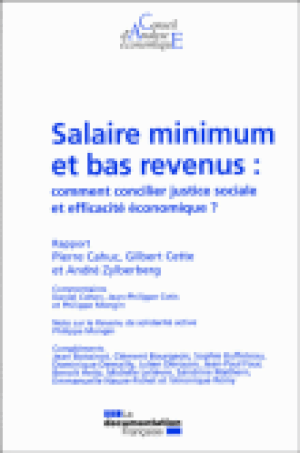 Salaire minimum et bas revenus