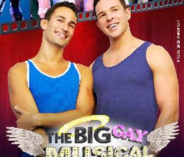 image-https://media.senscritique.com/media/000000165963/0/big_gay_musical.jpg