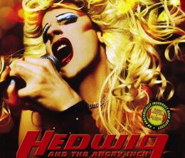 image-https://media.senscritique.com/media/000000167639/0/hedwig_and_the_angry_inch.jpg