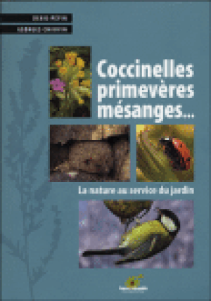 Coccinelles, primev