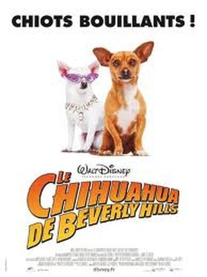 Le Chihuahua de Beverly Hills