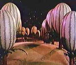 image-https://media.senscritique.com/media/000000169923/0/jasper_and_the_watermelons.jpg