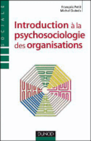 Introduction à la psychosociologie des organisations
