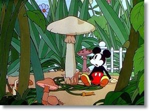 Le Jardin de Mickey