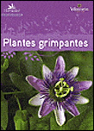 Le guide des plantes grimpantes