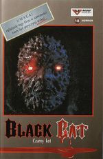 Affiche The Black Cat Affiche The Black Cat