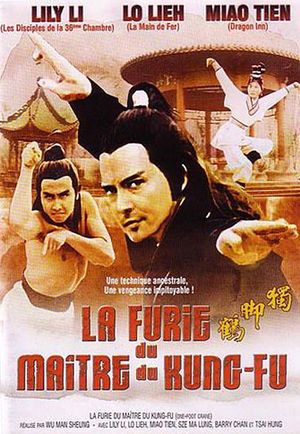 La Furie du maître de kung-fu
