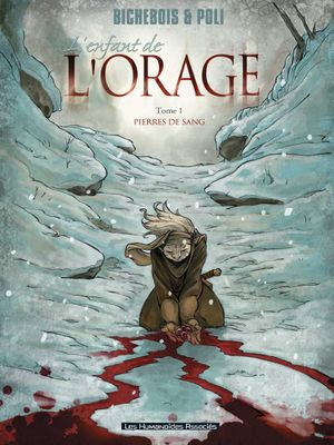 Pierres de sang - L'Enfant de l'orage, tome 1