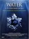 Water, le pouvoir secret de l'eau
