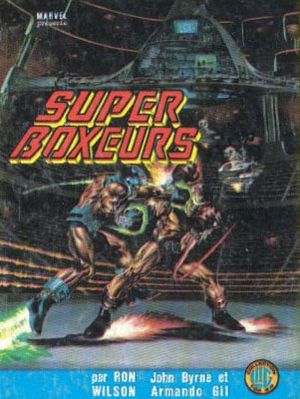 Super Boxeurs