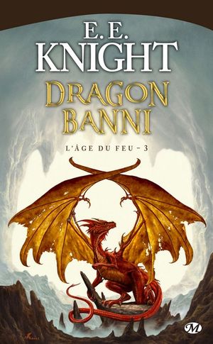 Dragon banni - L'Âge du feu, tome 3