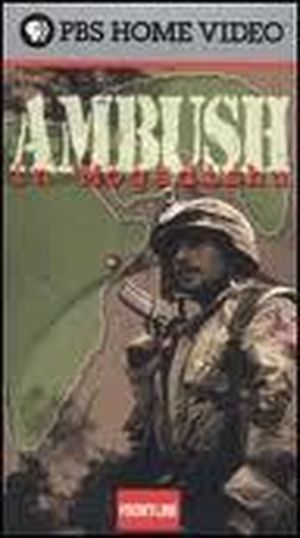 Ambush In Mogadishu: The true Story of Black Hawk Down