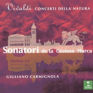 La Notte: Concerto, RV 104 in G minor: Allegro