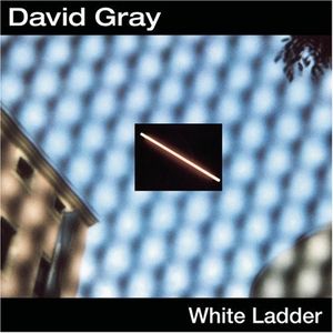 White Ladder