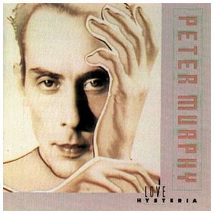 I’ve Got a Miniature Secret Camera