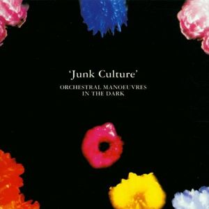 Junk Culture