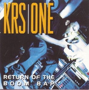 KRS-One Attacks