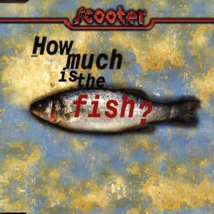How Much Is the Fish (album version)