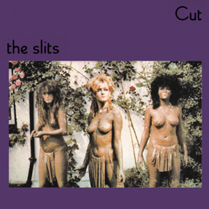 Adventures Close to Home