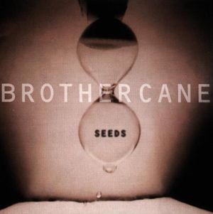 Bad Seeds