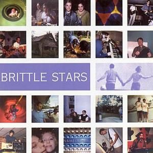 Brittle Stars