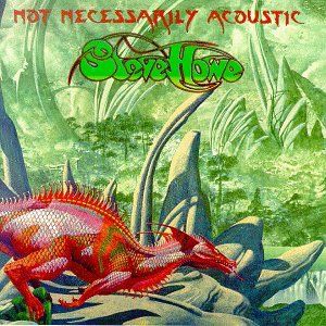 Not Necessarily Acoustic (Live)