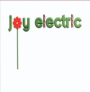 The Electric Joy Toy Company