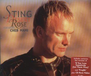 Desert Rose (Melodic club radio edit)