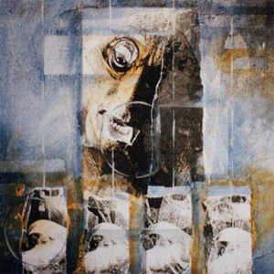 Fester in Isolation
