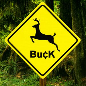 Buck