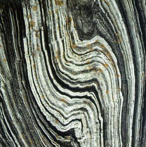 Jämtlandssångsvalsen