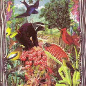 Animals of the Summit