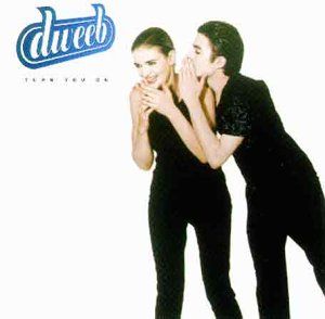 Theme From Dweeb