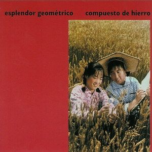Expectativas