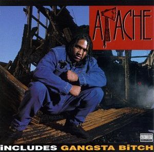 Gangsta Bitch (LP version)