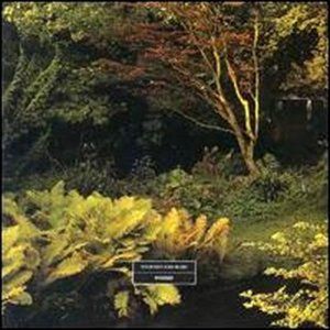 [untitled]