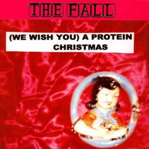 (We Wish You) A Protein Christmas (Single)