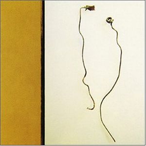 Tight Frame Loose Frame